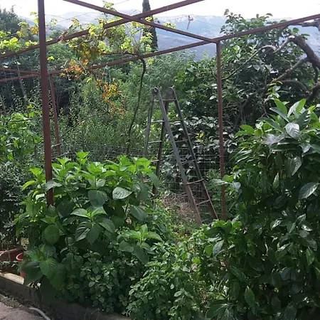 Isaraj * Gjirokastër