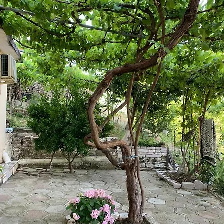 Alloggio in famiglia Isaraj Gjirokastër