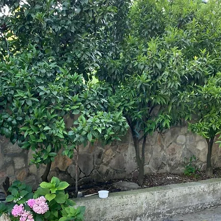 Accommodatie bij particulieren Isaraj