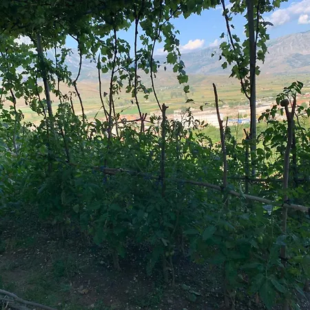 Isaraj Alloggio in famiglia Gjirokastër