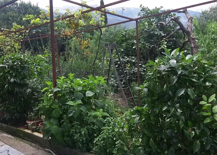 Isaraj * Gjirokastër