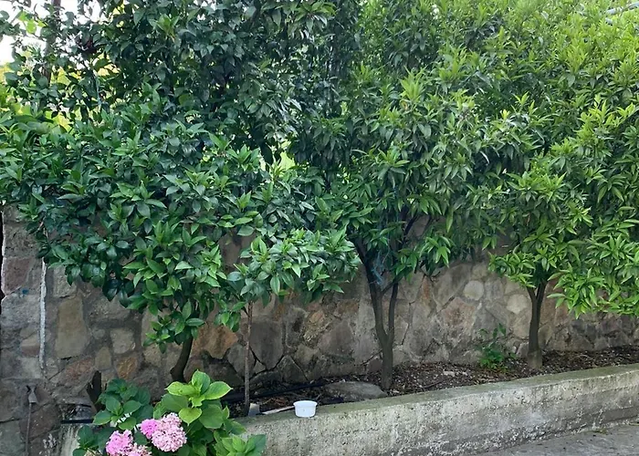 Δωμάτια σε οικογενειακή κατοικία Isaraj