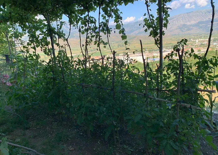 Isaraj Δωμάτια σε οικογενειακή κατοικία Αργυρόκαστρο